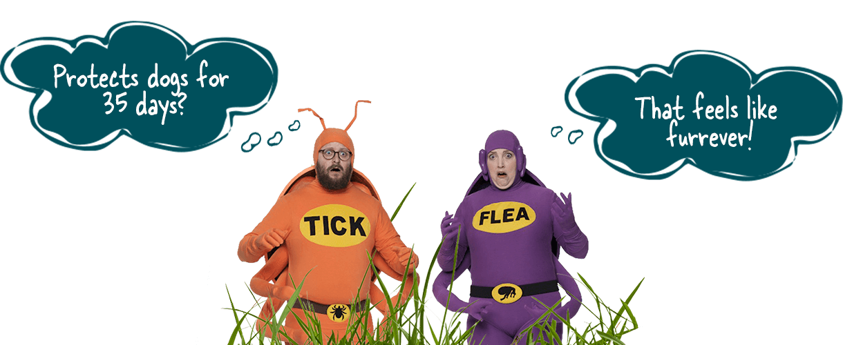 Simparica | Zoetis Petcare