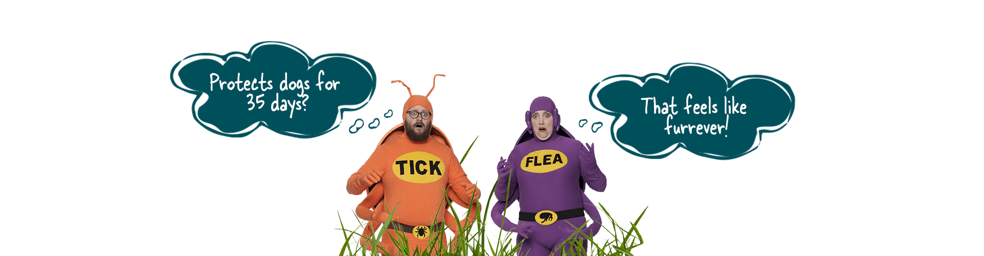 Simparica | Zoetis Petcare