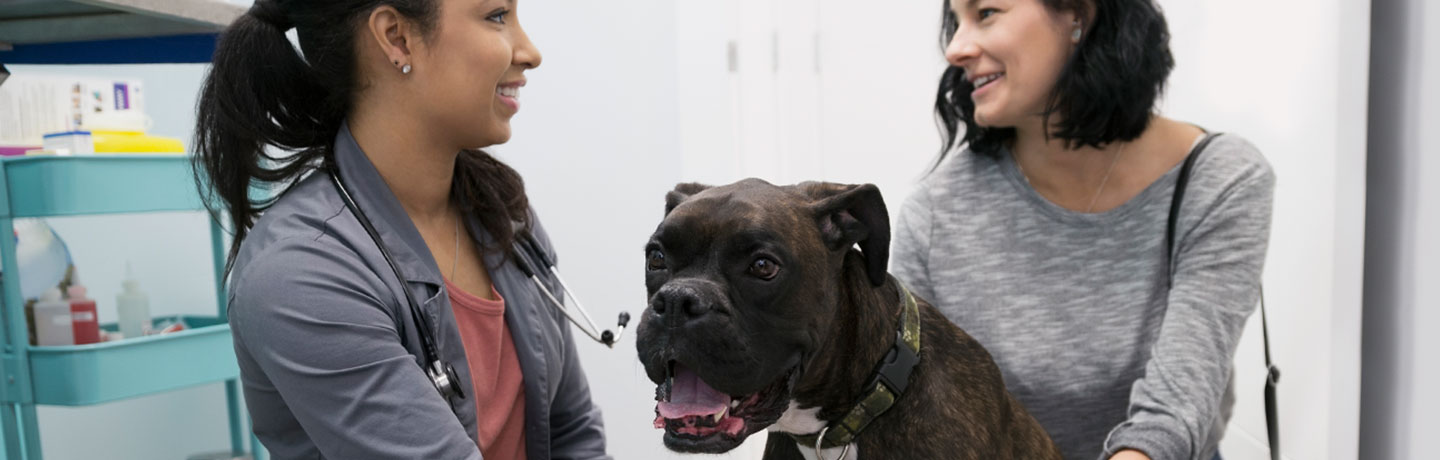 female veterinarian with woman and her dog